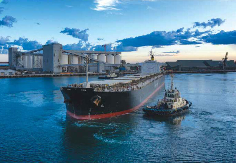 Fenders Fender Marine Australia